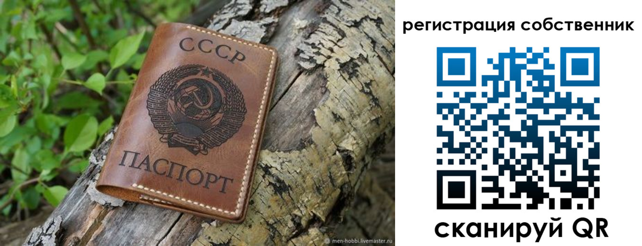 временная регистрация госуслуги в Оленегорске
